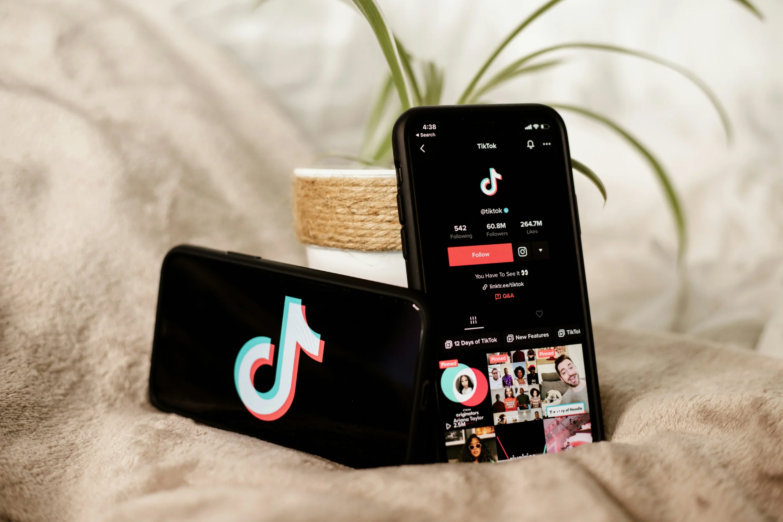 how does TikTok makes money via targeted advertising and engagement