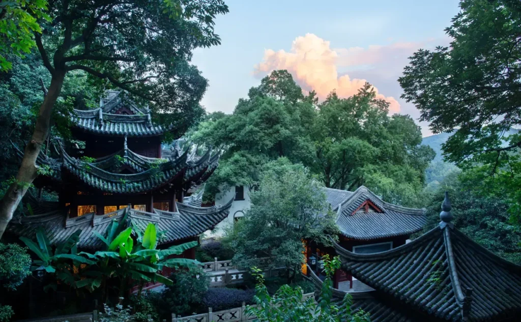 Traditional Chinese buildings surrounded by lush forest